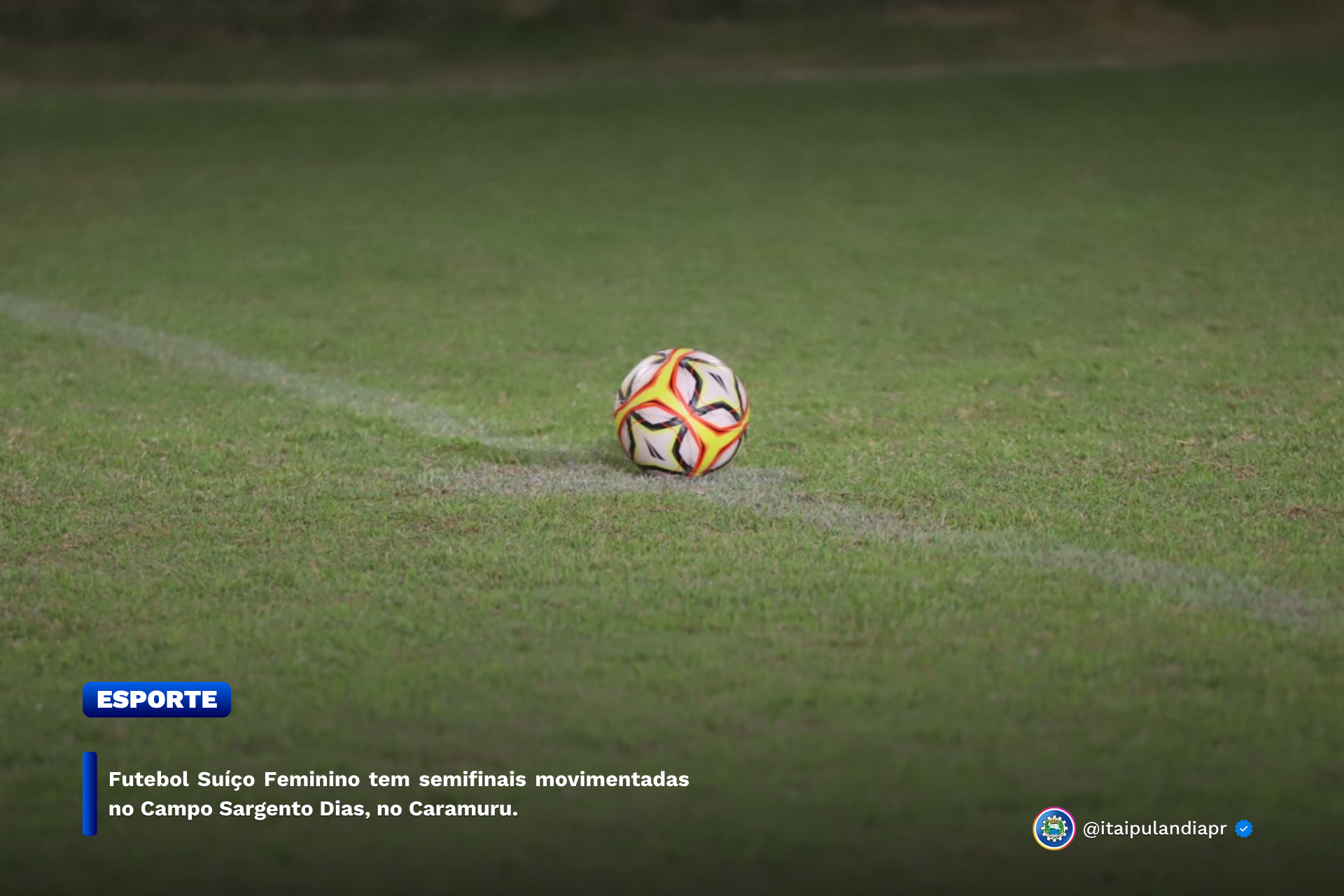 Imagem Noticia: 423ea5f0c411b6c8f10a5490d162d500.png