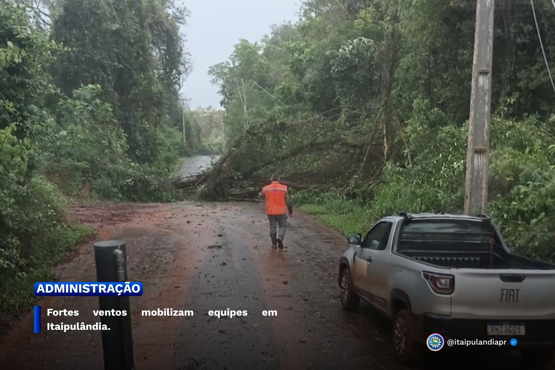 Imagem Noticia: 489d963bd18b2ff98b593b1251c6f6c5.jpg