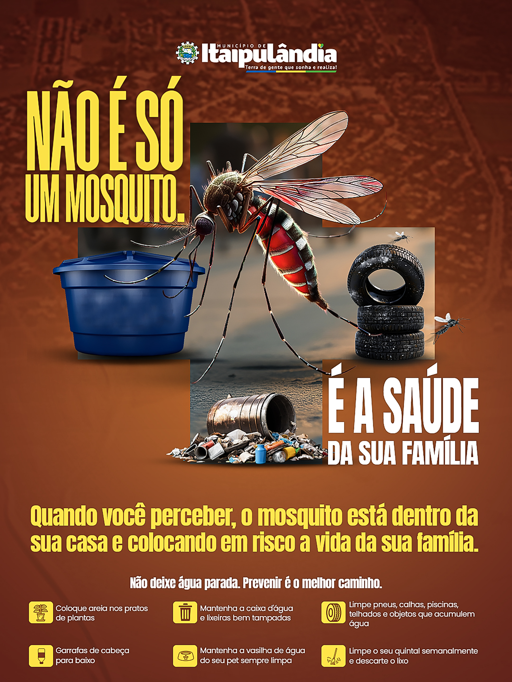 Imagem Noticia: 5227cc7a67b8b960dc5c029ba5823953.jpg