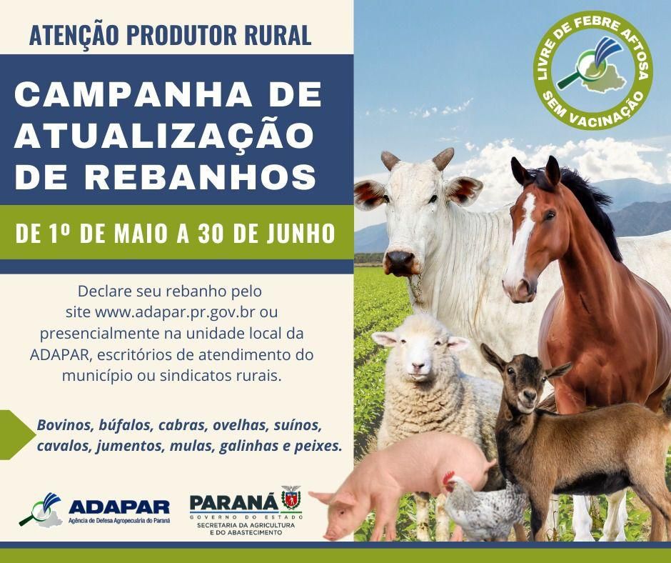 Imagem Noticia: 649956e5201c3aebbe53fcf7d6ebd23b.jpg