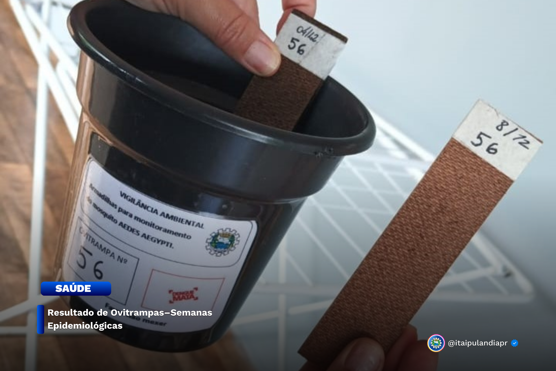 Imagem Noticia: 9adaeec5200b878c7b94f931bdcd0880.png