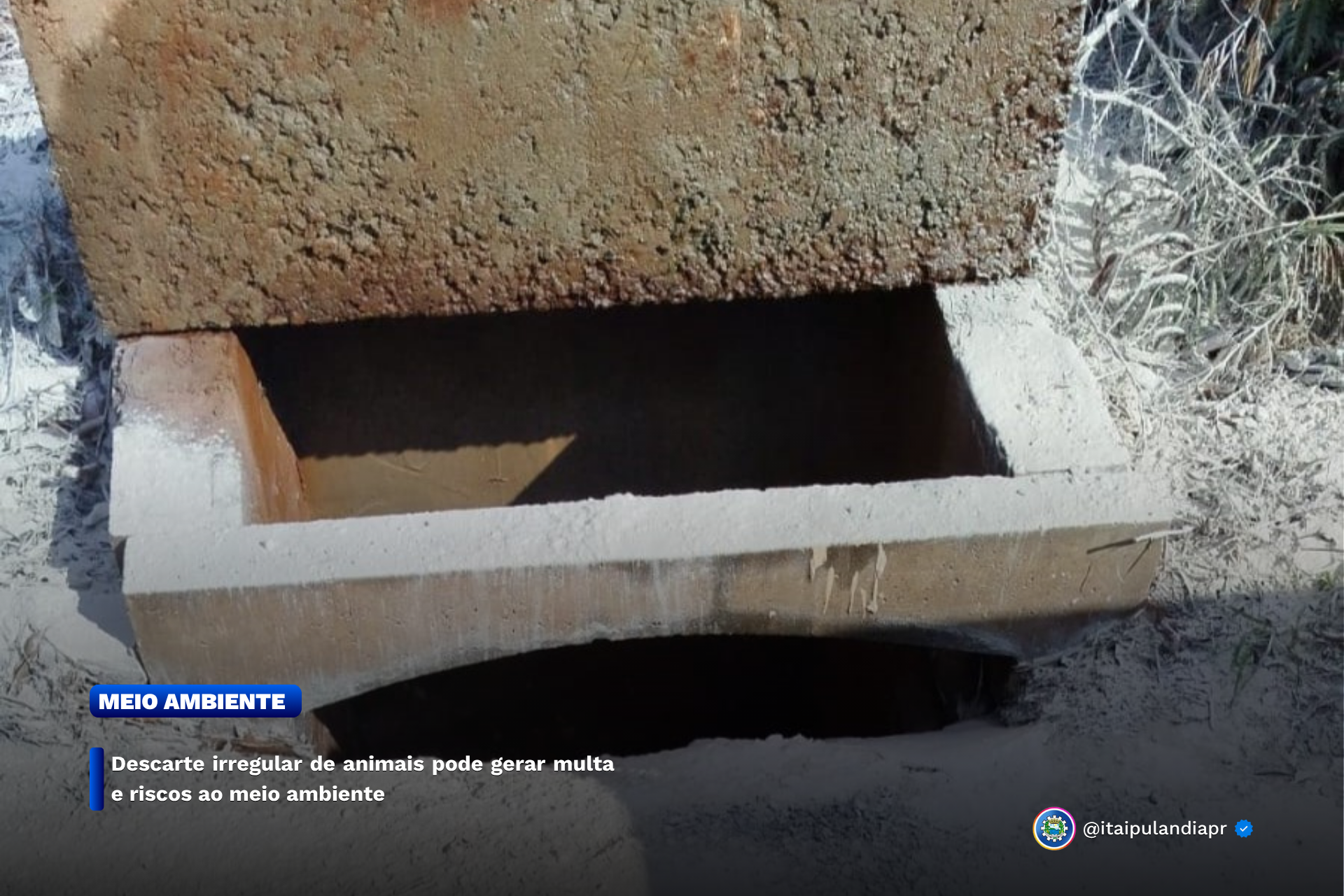 Imagem Noticia: fb00a6d16a40ae3824e32c3e1bbee3f3.png